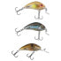 Фото #2 товара SALMO Rattlin Hornet Shallow Runner crankbait 6g 45 mm