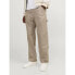 JACK & JONES Eddie Carpenter pants