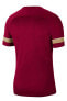 Фото #8 товара Cw6101 Dri Fit Academy T-shirt Bordo