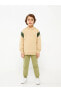 Фото #6 товара LCW Kids Kapüşonlu Baskılı Uzun Kollu Erkek Çocuk Sweatshirt