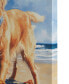 Beach Dogs Golden Retriever Canvas Wall Art