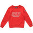 REPLAY SB2026.020.22739 sweatshirt