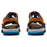 ფოტო #6 პროდუქტის TIMBERLAND Garrison Trail Webbing sandals