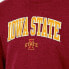 Фото #2 товара NCAA Iowa State Cyclones Men's Heathered Crew Neck Fleece Sweatshirt - L