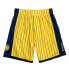 Фото #2 товара MITCHELL & NESS NBA SWINGMAN SHORTS INDIANA PACERS 99