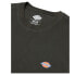 DICKIES Mapleton short sleeve T-shirt