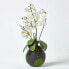 Фото #5 товара Искусственные цветы Homescapes Phalaenopsis Orchidee weiß 60 см