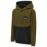 HUMMEL Edward hoodie Зеленый, 5 лет - фото #1