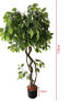 Kunstpflanze Ficus RE7036