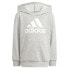 Фото #1 товара ADIDAS Lk Bl Ft hoodie