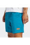 ADİDAS IC2287 ADİDAS IC2287 ADV WOVEN SHORT