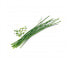 Фото #3 товара Véritable 3760262511047 - Edible plant - Chives - Refill - Medium-fast grower (5-8 weeks)