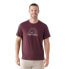 Фото #1 товара SMARTWOOL Never Summer Mountain Graphic Slim Fit short sleeve T-shirt