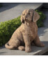 Golden Retriever Puppy Garden Statue