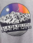 Фото #3 товара Napapijri Lahni Unisex t-shirt in grey