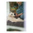 Фото #3 товара Диван для собак Hunter Boston Коричневый (60 x 50 cm)