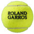 Фото #2 товара WILSON Roland Garros All Court Tennis Balls