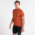 Фото #1 товара DARE2B Pedal It Out short sleeve jersey
