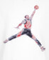 ფოტო #3 პროდუქტის Big Boys Watercolor Jumpman Short Sleeve Tee