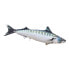 GABY Spanish Mackerel Pillow