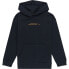 Фото #1 товара ELEMENT Bubble Icon hoodie