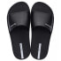 IPANEMA Slides