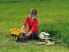 Фото #5 товара Bruder Claas Jaguar 900 - Green,Red,White - Plastic - 4 yr(s) - Boy/Girl - 1:16 - 450 mm