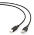 Фото #1 товара Кабель USB Gembird CCP-USB2-AMBM-10 - 3.04 м - USB A - USB B - Черный