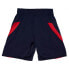 Фото #2 товара MITCHELL & NESS NBA DARK SHORTS USA 2008