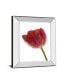 Red Tulip by Art Photo Pro Mirror Framed Print Wall Art, 22" x 26"