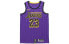 Фото #1 товара Nike NBA LeBron James 城市版球衣 SW球迷版 湖人 詹姆斯 23号 男款 紫色 / Кроссовки Nike LeBron James SW 23 AJ4618-510