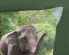 Фото #7 товара Kinderbettwäsche Elephants