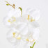 Künstliche weiß-gelbe Phalaenopsis