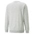 PUMA Ess+ 2 Col Small Log sweatshirt