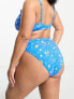 Фото #5 товара Simply Be 2 pack high leg bikini bottoms in black and blue floral