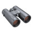 Фото #2 товара BUSHNELL Engage 8x42 Binoculars