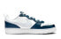 Nike Court Borough Low 2 GS BQ5448-121 Sneakers