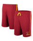 ფოტო #2 პროდუქტის Men's Cardinal Iowa State Cyclones Thunder Slub Shorts