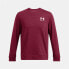 Фото #4 товара UNDER ARMOUR Rival Terry Left Chest sweatshirt