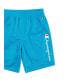 ფოტო #3 პროდუქტის Big Boys Logo Mesh 8" Active Shorts