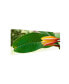 Фото #2 товара Kurt Shaffer 'Plumeria Opening' Canvas Art - 19" x 8"