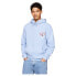 Фото #1 товара TOMMY JEANS Reg 3D Street Tj Hood Ext hoodie