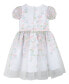 Toddler Girls Puff Sleeves Floral Embroidered Mesh Social Dress