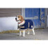 DIEGO & LOUNA Polyfun Dog Jacket