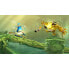 Фото #48 товара Видеоигра для Switch Ubisoft Rayman Legends Definitive Edition Скачать код