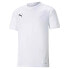 ფოტო #2 პროდუქტის PUMA TeamLIGA short sleeve T-shirt