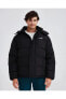 Фото #5 товара Куртка утепленная Skechers M Outerwear Padded Jacket Erkek Siyah Mont S232432-001