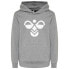 Фото #1 товара HUMMEL Cuatro hoodie