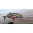Фото #31 товара Поплавок Рапала Flash-X Skitter для морских хищников 220 мм 33 г