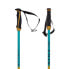 VOLKL Phantastick junior poles